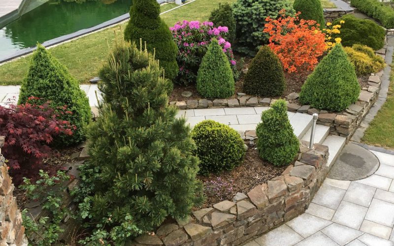 Körner Zollgrün Hangbepflanzung