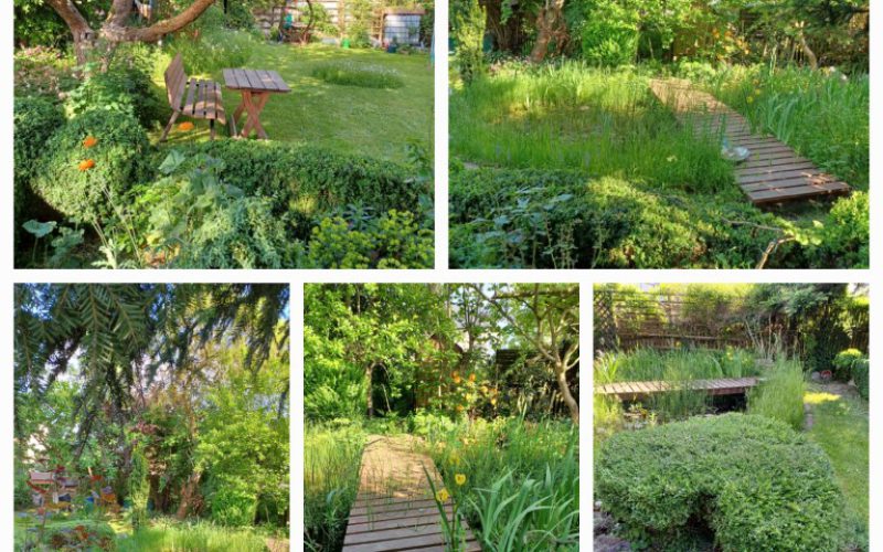 Respondek 1 (Mittel)